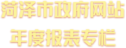 菏泽市政府网站年度报表专栏